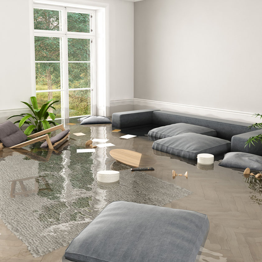 Flood Damage Cleanout Service In Aloha