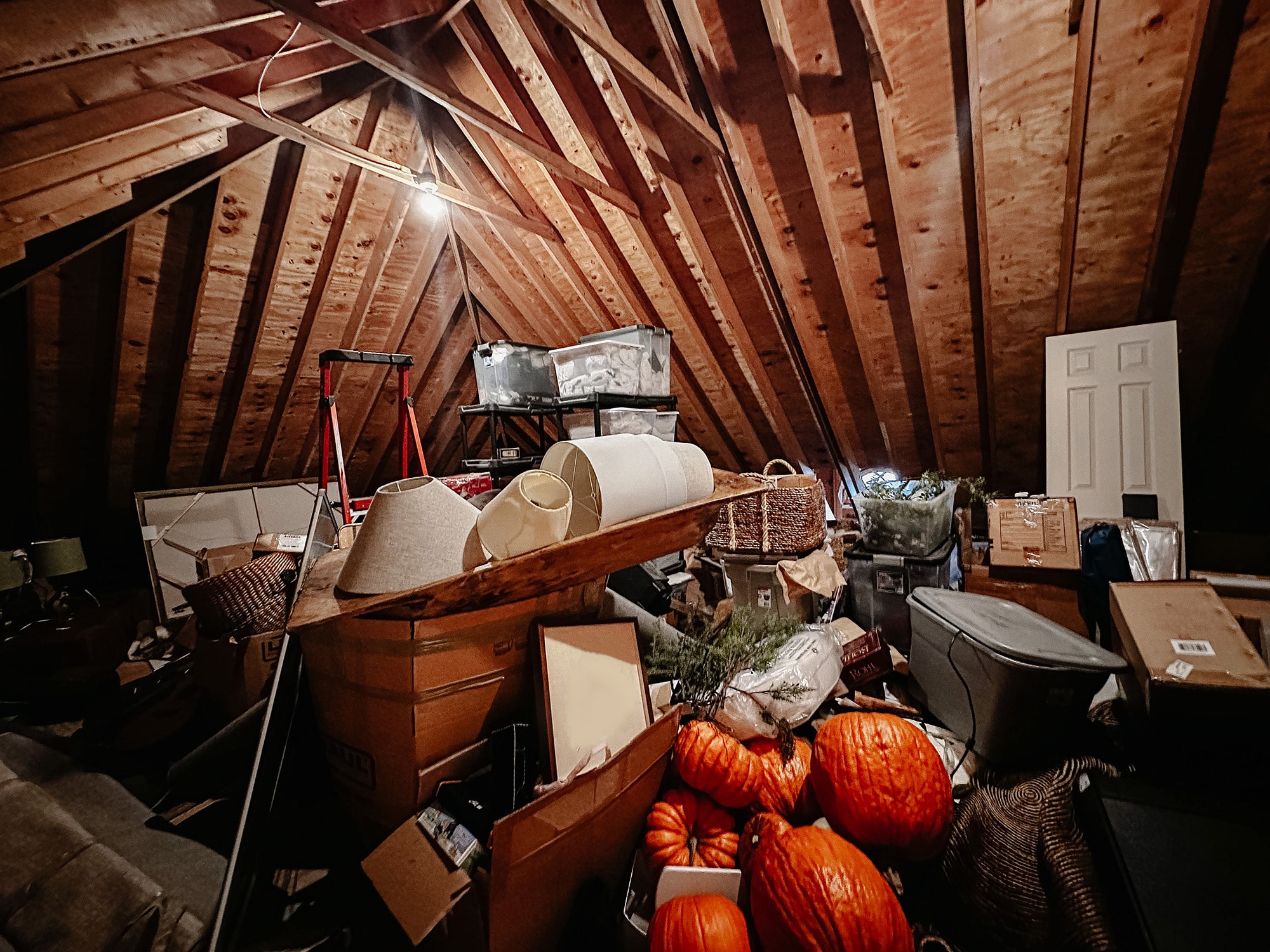 Attic Cleanout Service In Aloha