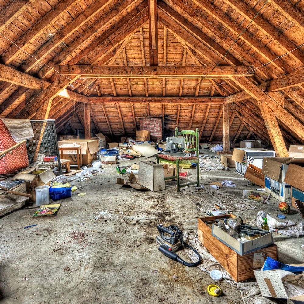 Junk Removal Cleanout
