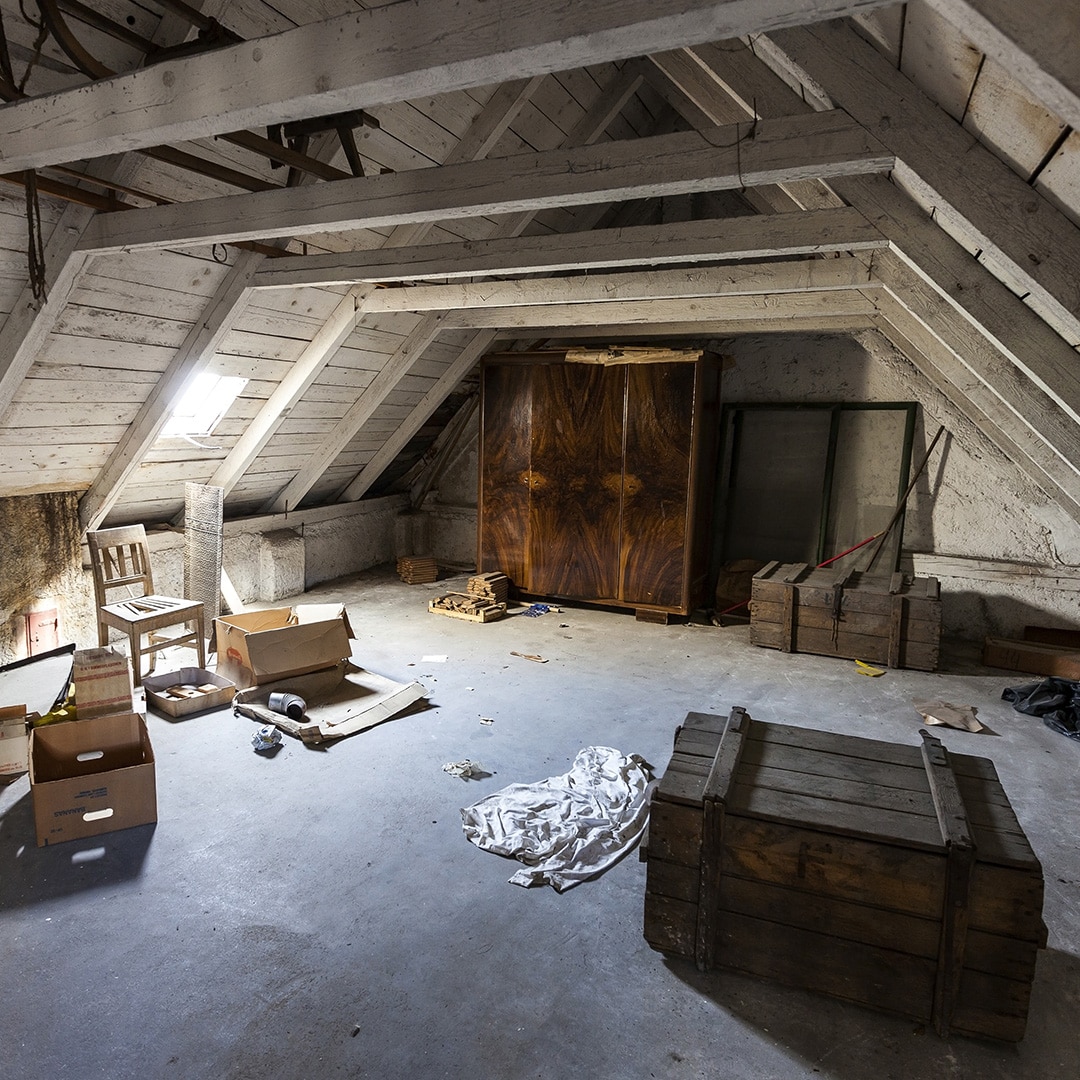 Attic Cleanout Service In Aloha