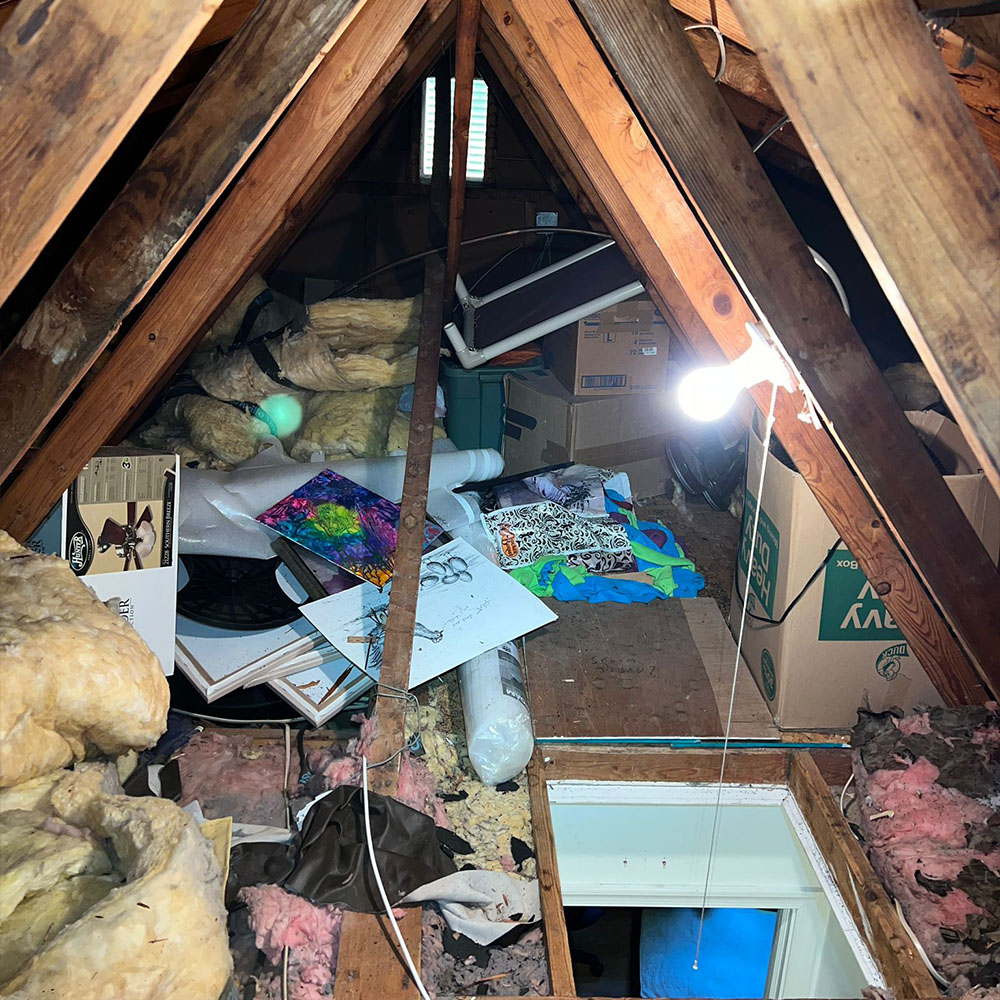 Attic Cleanout Service In Aloha