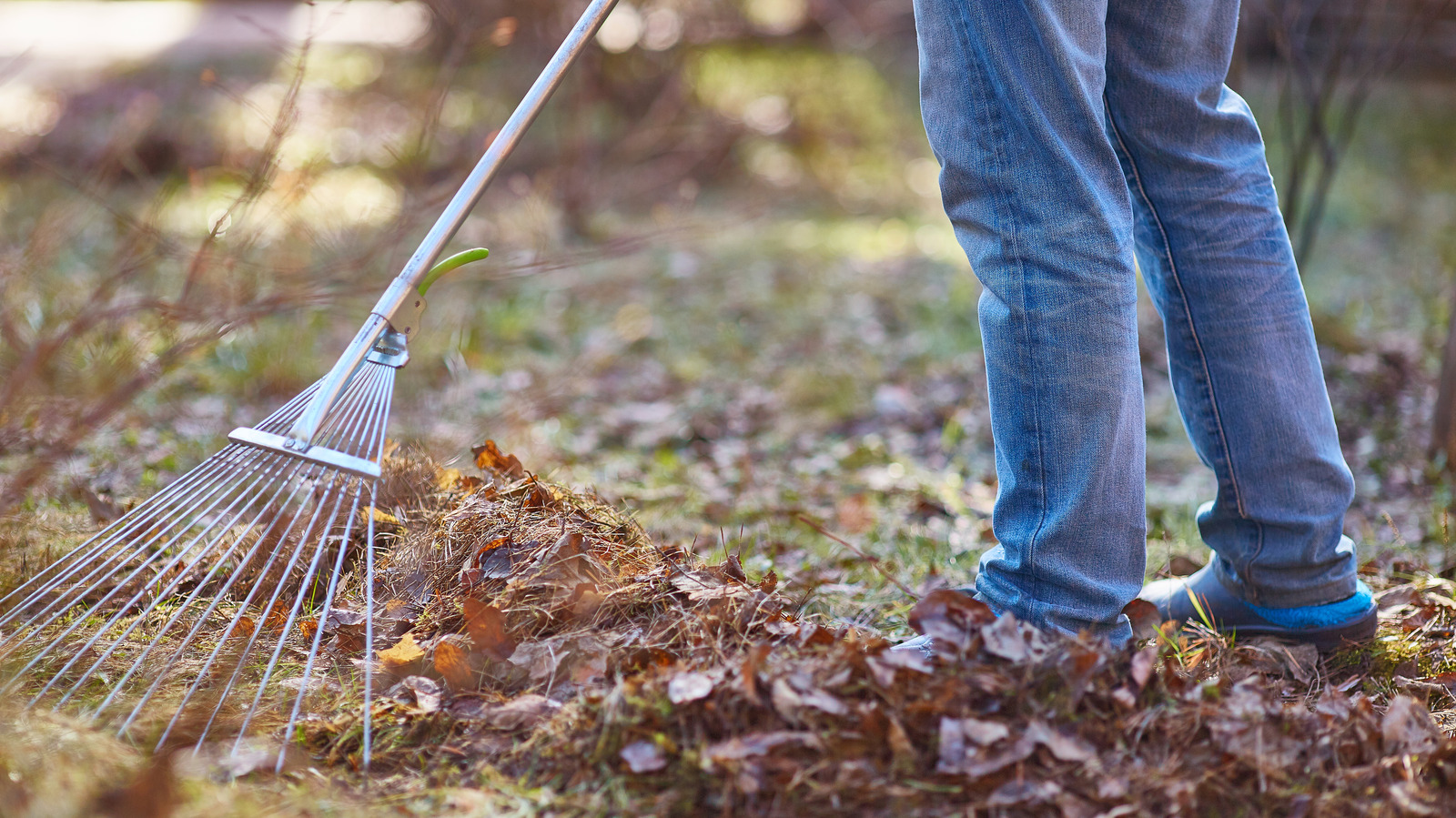 Junk Removal Property Cleanup for Property Management In Portland