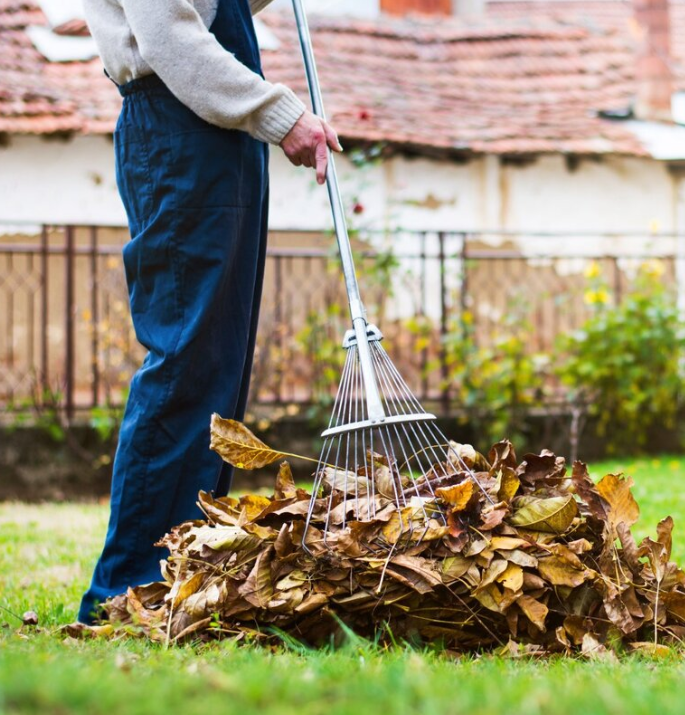 Property Cleanup for Property Management Service In Portland